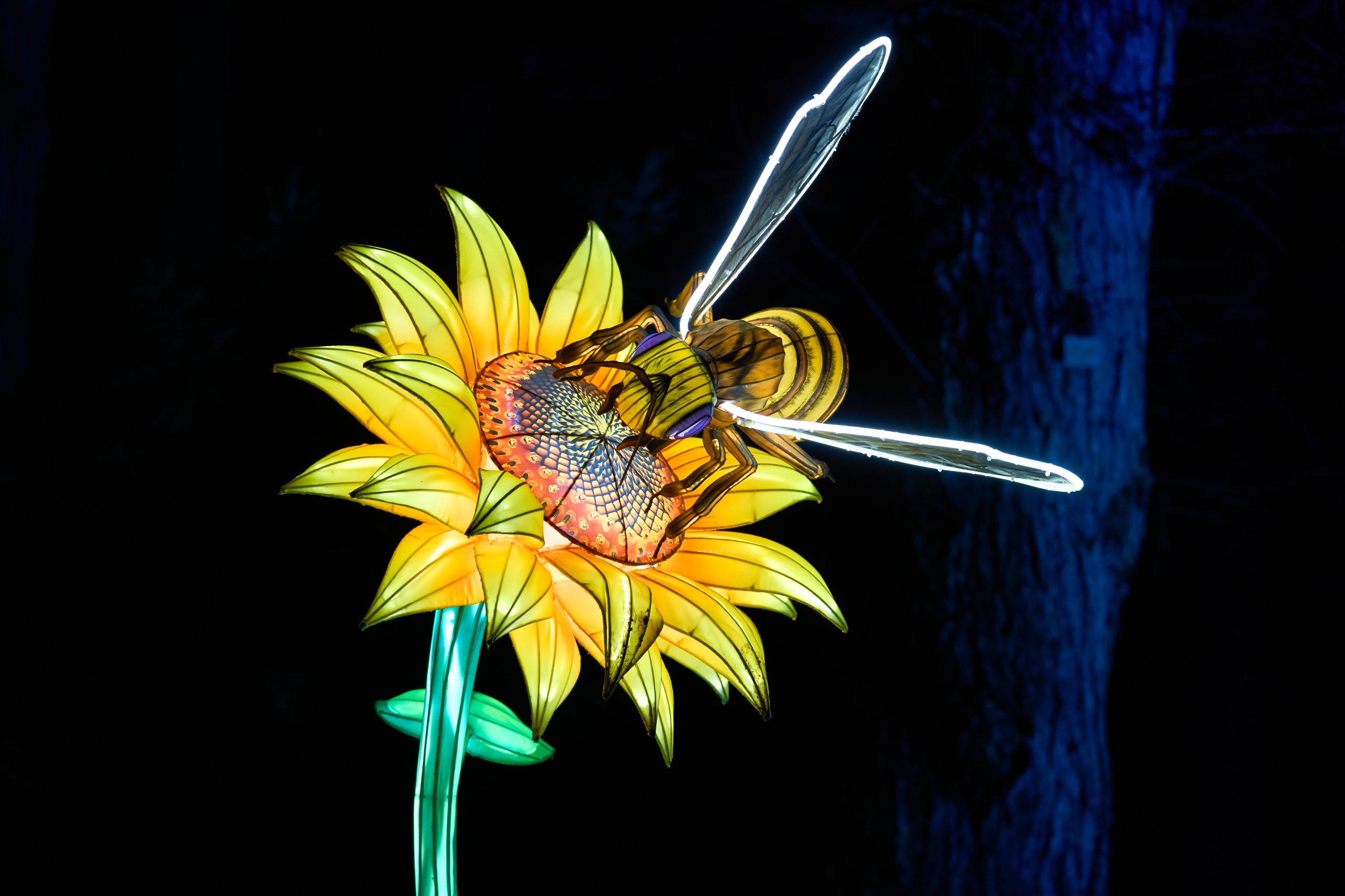 2026 02 03 Parkleuchten 0245